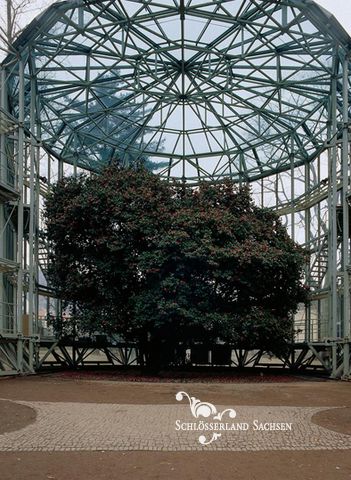 Замок Пильниц в Германии