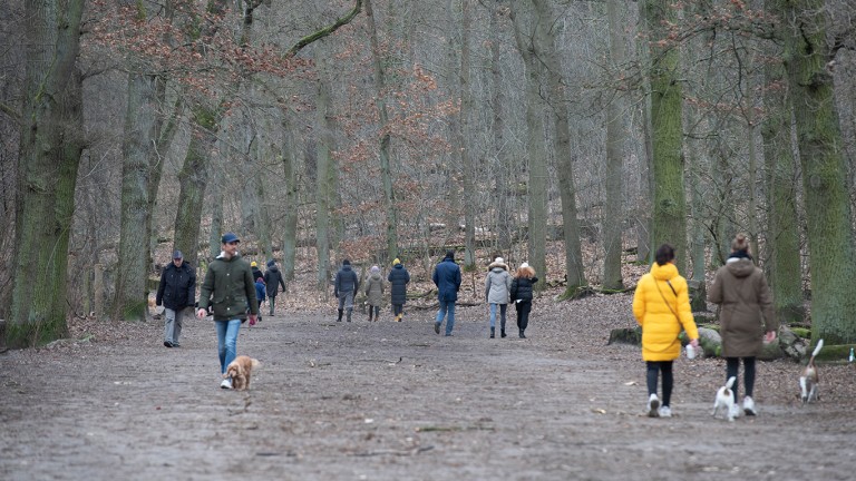 singles-berlin-park